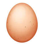 Egg