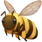 Honeybee