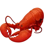 Homar
