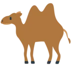 Two-Hump Camel