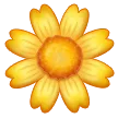 꽃