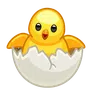 ฟักไข่ไก่