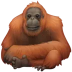 Orangután