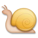 달팽이