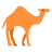 Dromedarul Camel