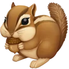 észak-amerikai mókus