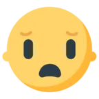 Frowning Face With Open Mouth