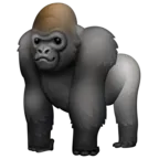Gorilla