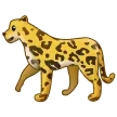 Leopardo