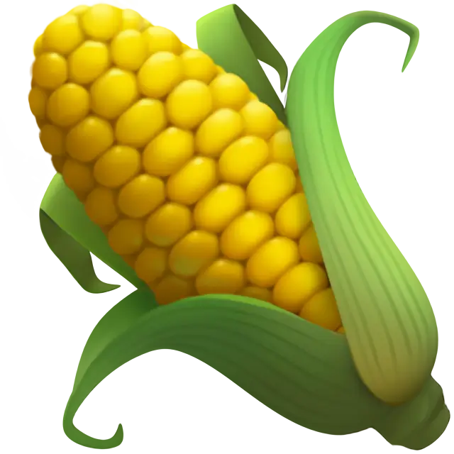 Ear Of Corn
