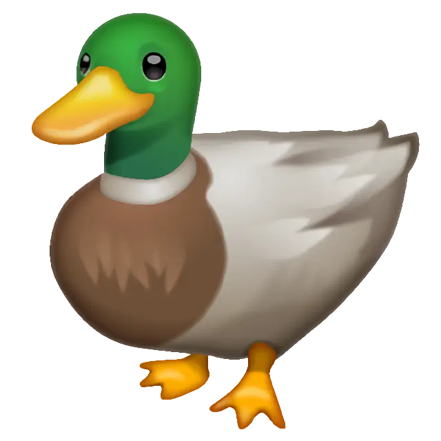 Duck