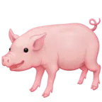 หมู