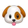 강아지 얼굴