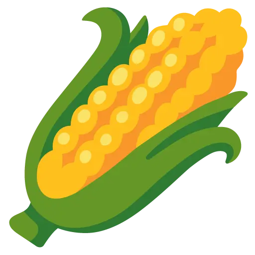 Ear Of Corn