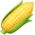 Ear Of Corn