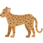 Leopardo