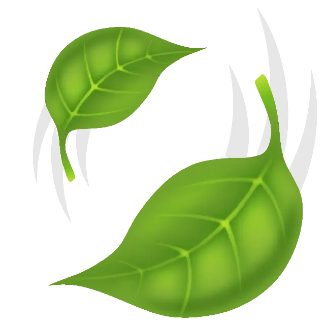 Leaf Fluttering In Wind