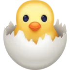 ฟักไข่ไก่