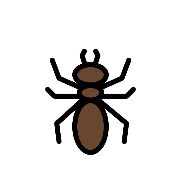 Ant