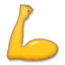 Hajlított bicepsz