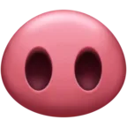 Pig Nose