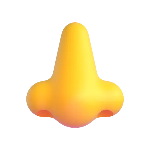 鼻