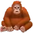 Orangután