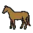 Cavalo