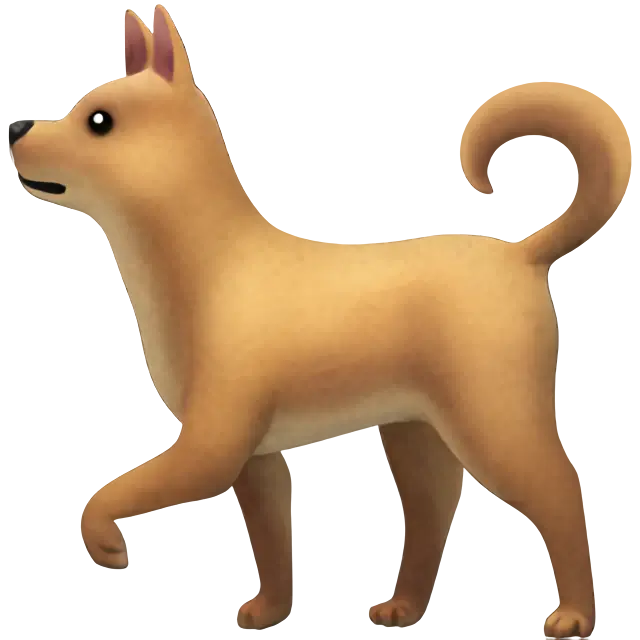 Dog