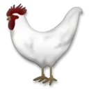 Kakas