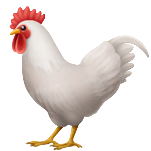 Kakas
