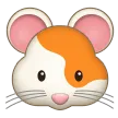 हम्सटर चेहरा