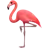 Flamingó