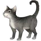 ネコ