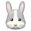 うさぎの顔
