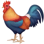 Kakas