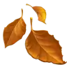 Emoji Leesett levél 🍂 image - Apple style
