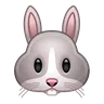 うさぎの顔