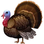 ไก่งวง