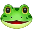 मेंढक का चेहरा