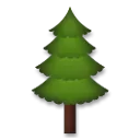 Albero sempreverde