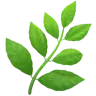 Emoji Növény 🌿 image - Apple style