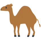 Camel