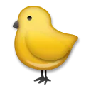 ลูกไก่