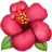 Hibiszkusz