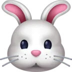 うさぎの顔