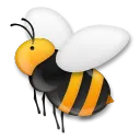Honeybee