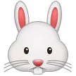 うさぎの顔