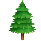 Albero sempreverde