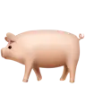 Emoji malac 🐖 image - Apple style